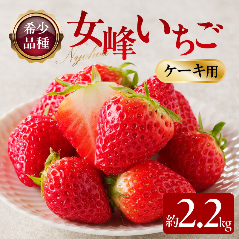【ふるさと納税】希少ないちご ケーキ用 女峰いちご 約2.2kg【2026年1月上旬～2026年5月下旬配送】 | ケーキ用 いちご 希少品種 アレンジ ジャム ケーキ トッピング ピューレ デザート スイーツ 加工用 自宅用 果物 フルーツ 果実 果実的野菜 青果 青果物 高松市産 グルメ
