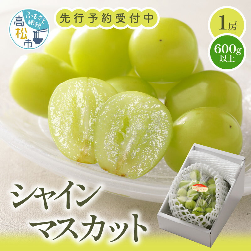 楽天香川県高松市【ふるさと納税】 シャインマスカット 1房 600g 以上 化粧箱入り ギフト 贈り物 プレゼント 果物 フルーツ デザート スイーツ 産地直送 人気 おすすめ お取り寄せグルメ お取り寄せ 送料無料