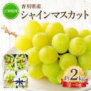 【ふるさと納税】ご家庭用シャインマスカット 約 2kg ぶどう 【2024-8月下旬〜2024-9月下旬配送】 | シャイン マスカット ぶどう 果物 フルーツ...