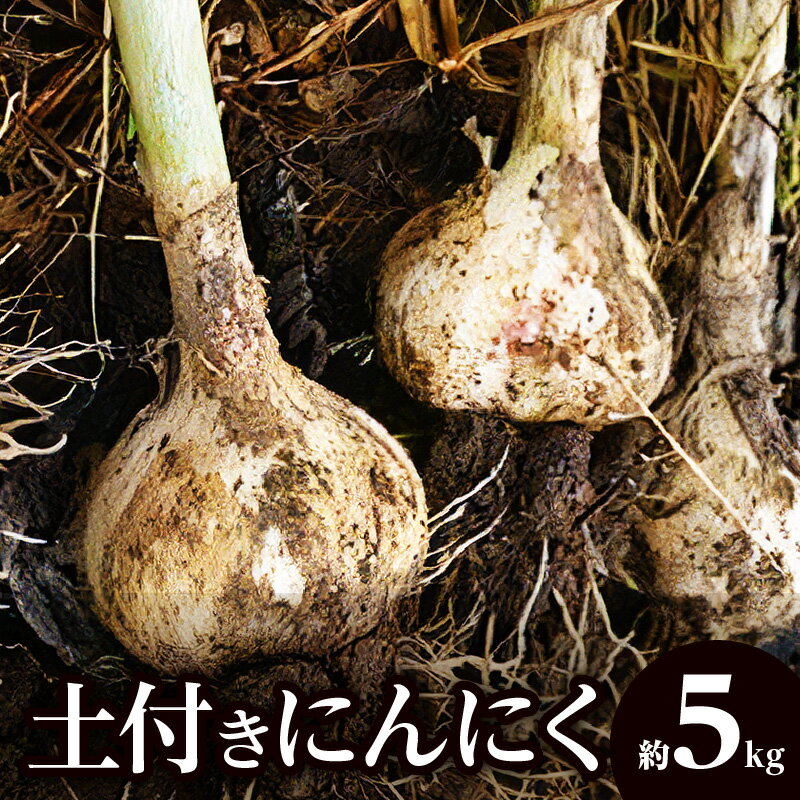 【ふるさと納税】期間限定 土付きにんにく 約 5kg 国産 にんにく 野菜 肉厚 濃厚 土付き 新鮮 産地直送 鮮度抜群 風味抜群 旬 旬の野菜 季節の野菜 季節 農作物 農産物 生鮮食品 お取り寄せ おすそ分け 自宅用 家庭用 高松市産 瀬戸内 香川県 高松市 生にんにく 送料無料