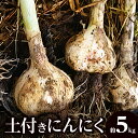 【ふるさと納税】期間限定 土付きにんにく 約 5kg 国産 にんにく 野菜 肉厚 濃厚 土付き 新鮮 産地直送 鮮度抜群 風味抜群 旬 旬の野菜 季節の野菜 季節 農作物 農産物 生鮮食品 お取り寄せ おすそ分け 自宅用 家庭用 高松市産 瀬戸内 香川県 高松市 生にんにく 送料無料