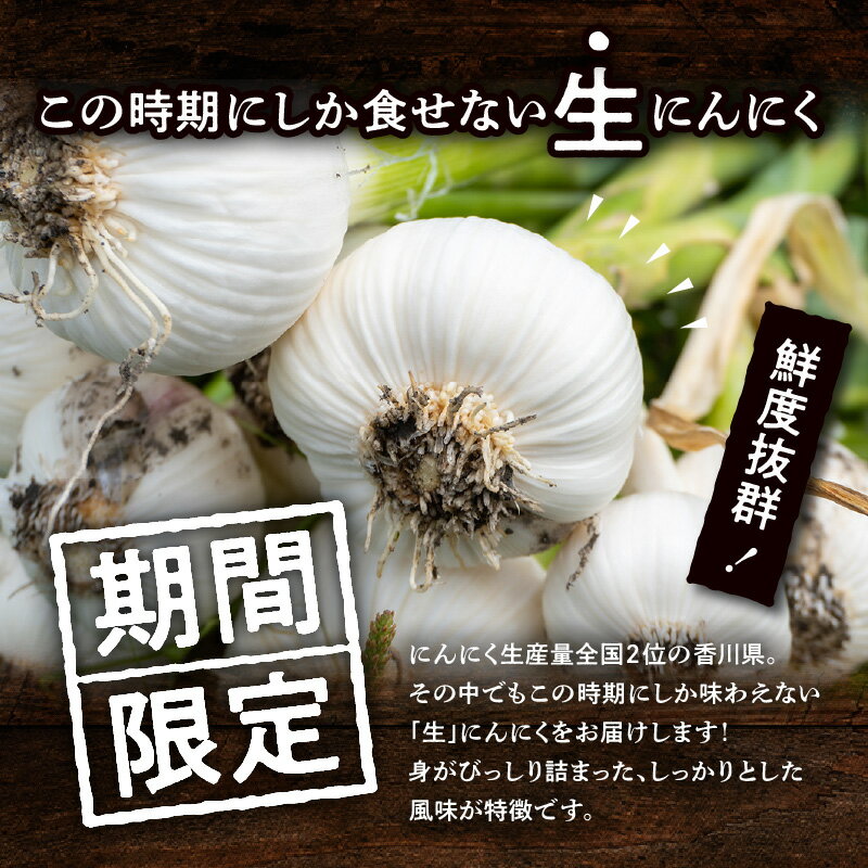 【ふるさと納税】 【訳あり】加工用 生にんにく にんにく 不揃い 歪形 外皮割れ 野菜 旬 旬の野菜 産地直送 鮮度 季節の野菜 料理 食材 農作物 農産物 生鮮食品 食品 アレンジ 加工 黒にんにく ペースト 自宅用 家庭用 ご家庭用 高松市産 香川県 高松市 送料無料