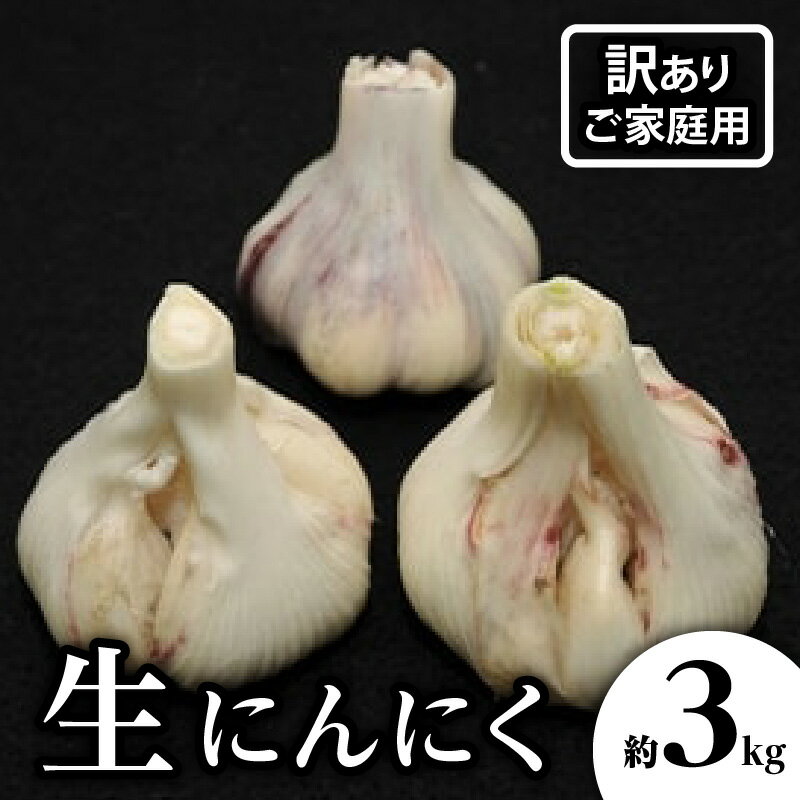 【ふるさと納税】【訳あり】期間限定 生にんにく 約 3kg 国産 にんにく 野菜 肉厚 濃厚 新鮮 産地直送 鮮度抜群 風味抜群 旬 旬の野菜 季節 季節の野菜 農作物 農産物 生鮮食品 食品 食材 お取り寄せ グルメ 自宅用 家庭用 高松市産 瀬戸内 香川県 高松市 送料無料