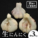 【ふるさと納税】訳あり ご家庭用 生にんにく 約3kg【2025-5月上旬〜2025-6月上旬配送】 | 国産 にんにく 野菜 肉厚 濃厚 新鮮 産地直送 鮮度...