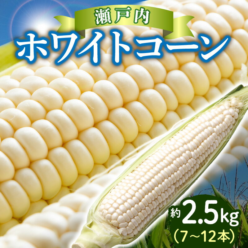 特産品説明 名称 【ふるさと納税】上品な甘さ 瀬戸内 ホワイトコーン 約2.5kg【2024年6月中旬〜2024年7月中旬配送】 内容量 ホワイトコーン約2.5kg(7〜12本) 原産地:高松市 配送温度帯 冷蔵 賞味期限 7日 説明 珍しい白いトウモロコシ「ホワイトコーン」。プチプチと弾けるような食感、粒皮が薄くとろけるような食味、そして何より上品な甘さが特徴です。ホワイトコーンは鮮度が命、お届け後すぐにご賞味ください。 注意事項 ※天候の影響で収穫量・収穫時期が遅れた場合、発送が遅れる場合があります。予めご了承ください。 ※画像はイメージです。 申込期日 〜2024年6月中旬予定 発送期日 6月中旬〜7月中旬 提供事業者 （株）五色青果（JA香川県商品取扱い） ・ふるさと納税よくある質問はこちら・寄附申込みのキャンセル、返礼品の変更・返品はできません。あらかじめご了承ください。・離島にはお届けできません。【ふるさと納税】上品な甘さ 瀬戸内 ホワイトコーン 約2.5kg【2024年6月中旬〜2024年7月中旬配送】