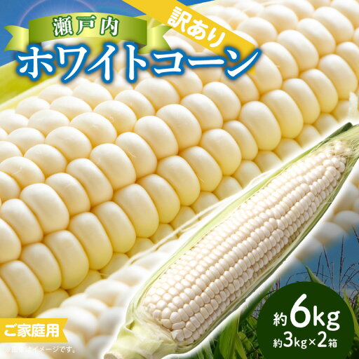 【ふるさと納税】訳あり ご家庭用 瀬戸内ホワイトコーン 約6kg【2025-6月中旬~2025-7月中旬配送】 | コーン とうもろこし トウモロコシ コーン 野菜 瀬戸内 香川県 高松市 送料無料 【ふるさと納税】訳あり ご家庭用 瀬戸内ホワイトコーン 約6kg【2025-6月中旬~2025-7月中旬配送】 | コーン とうもろこし トウモロコシ コーン 野菜 瀬戸内 香川県 高松市 送料無料