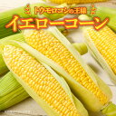 香川県高松市の画像2