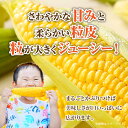 香川県高松市の画像3
