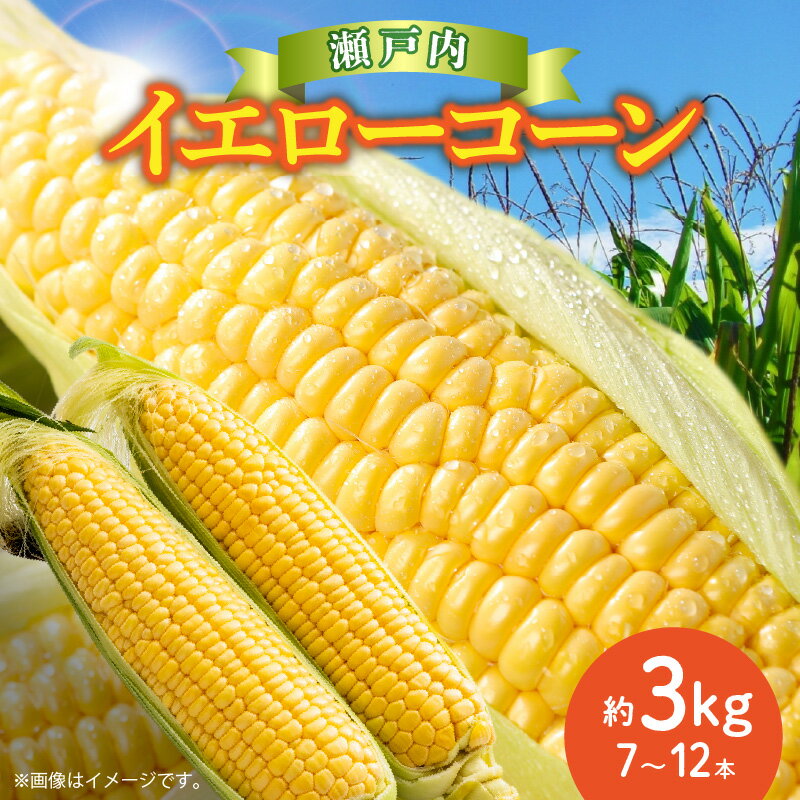 【ふるさと納税】とうもろこし 約 3kg 王道 瀬戸内 イエローコーン 季節限定 甘い 柔らかい コーン ジ...