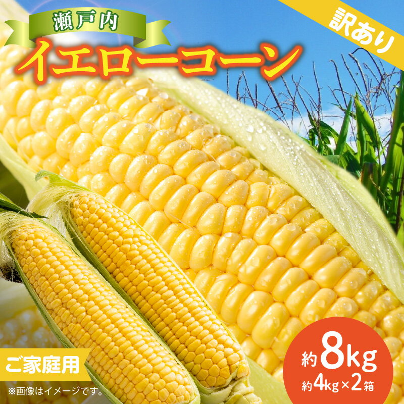 【ふるさと納税】訳あり ご家庭用 瀬戸内イエローコーン 約8kg【2025-6月上旬~2025-7月中旬配送】 | サイズ 不揃い 小さい 粒 割れ 黒ずみ 家庭用 瀬戸内 イエローコーン コーン トウモロコシ とうもろこし 野菜 甘い 柔らかい ジューシー
