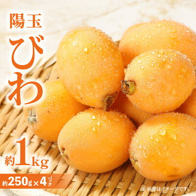 楽天ふるさと納税　【ふるさと納税】びわ 陽玉びわ 約 1kg 約250g×4 パック 大玉 果物 フルーツ 青果物 青果 デザート スイーツ 果汁 みずみずしい 贈り物 贈答 プレゼント 自宅用 家庭用 おすそ分け グルメ おすすめ おやつ お取り寄せ 高松市産 香川県 高松市 貴重 送料無料