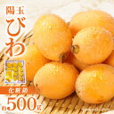 特産品説明 名称 【ふるさと納税】陽玉びわ化粧箱 約500g【2024年5月上旬〜2024年6月中旬配送】 内容量 陽玉びわ:約500g 原産地:高松市 賞味期限 7日 配送温度帯 冷蔵 説明 香川県産の大玉品種のびわ「陽玉」。一般的な品種よりもひと回り以上大きく、滴るほどの果汁が特徴の品種です。 果肉はとても食感が良く、果汁がとても多く、果肉が緻密でしっかりしています。 食味はあっさりとした甘味で、酸味も少なく、それでいてみずみずしい美味しさがあります。 生産量も少なく貴重な品種ですのでこの機会にぜひお召し上がりください。 今回は贈答用にオススメなお品をお届けします。 申込期日 〜2024年5月中旬予定 発送期日 5月上旬〜6月中旬 注意事項 ※天候の影響で収穫量・収穫時期が遅れた場合、発送が遅れる場合があります。 ※非常にデリケートなお品ですので細心の注意を払って取扱しておりますが、輸送中の揺れなどで、押し、スレや果汁漏れなどは起こり得ます。 その旨ご理解くださいました上でご寄付をお願いいたします。 ※画像はイメージです。 提供事業者 （株）五色青果（JA香川県商品取扱い） ・ふるさと納税よくある質問はこちら・寄附申込みのキャンセル、返礼品の変更・返品はできません。あらかじめご了承ください。・離島にはお届けできません。【ふるさと納税】陽玉びわ化粧箱 約500g【2024年5月上旬〜2024年6月中旬配送】