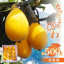 特産品説明 名称 【ふるさと納税】なつたよりびわ化粧箱 約500g【2024年5月中旬〜2024年6月中旬配送】 内容量 なつたよりびわ:約500g 原産地:高松市 賞味期限 7日 配送温度帯 冷蔵 説明 ハイブリッドの新品種びわ「なつたより」。 「なつたより」は、大玉で、果肉が柔らかく糖度が高く、酸味が少ない食味に優れる品種です。 丸々とした美しい形をしたびわで、食べ応えがあります。 酸味は控えめで果肉は柔らかく、果汁も豊富でみずみずしく上品な味わいです。 果肉が柔らかく簡単に手で剥く事ができます。今回は贈答用にオススメのお品をお届けいたします。 申込期日 〜2024年5月中旬予定 発送期日 5月中旬〜6月中旬 注意事項 ※天候の影響で収穫量・収穫時期が遅れた場合、発送が遅れる場合があります。 ※非常にデリケートなお品ですので細心の注意を払って取扱しておりますが、輸送中の揺れなどで、押し、スレや果汁漏れなどは起こり得ます。 その旨ご理解くださいました上でご寄付をお願いいたします。 ※画像はイメージです。 提供事業者 （株）五色青果（JA香川県商品取扱い） ・ふるさと納税よくある質問はこちら・寄附申込みのキャンセル、返礼品の変更・返品はできません。あらかじめご了承ください。・離島にはお届けできません。【ふるさと納税】なつたよりびわ化粧箱 約500g【2024年5月中旬〜2024年6月中旬配送】