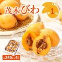 【ふるさと納税】茂木びわ 約1kg 約250g×4 パック びわ 果物 フルーツ 青果物 青果 農産物 果実 果汁 アレンジ ゼリー ジャム 自宅用 家庭用 贈答 贈り物 ギフト プレゼント ご褒美 お取り寄せ お取り寄せグルメ 生鮮 生鮮食品 食品 瀬戸内 香川県 高松市 送料無料