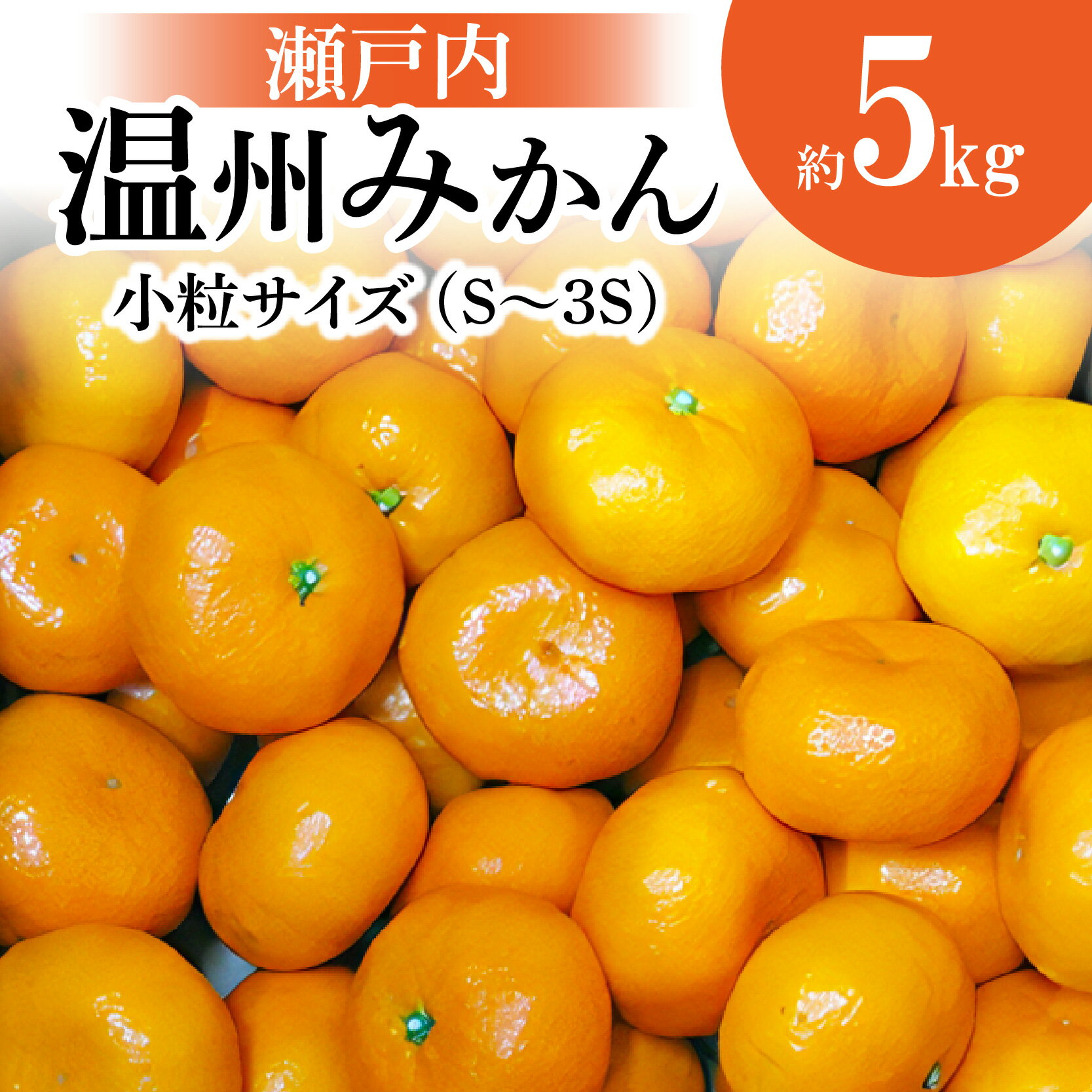 2位! 口コミ数「29件」評価「4.14」【先行予約】 瀬戸内温州みかん 小粒サイズ 約5kg【2024年10月下旬～2025年1月下旬配送】 小粒 S 3S サイズ 温州みかん ミ･･･ 