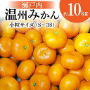 【ふるさと納税】 【先行予約】瀬戸内温州みかん 小粒サイズ 約10kg【2024年10月下旬～2025年1月下旬配送】 みかん 果物 フルーツ 柑橘 大容量 デザート おやつ 甘い 濃厚 果肉 果汁 ジューシ…