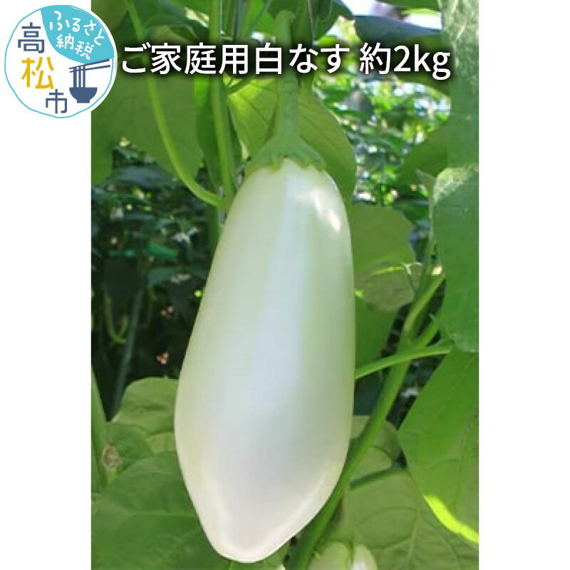 【ふるさと納税】訳ありキズ スレ 家庭用 白なす 約2kg 野菜 なす ナス 柔らかい 白い 希少 とろける 香川県 高松市 グリル ソテー 揚げもの 送料無料のサムネイル