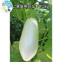 訳ありキズ スレ 家庭用 白なす 約2kg 野菜 なす ナス 柔らかい 白い 希少 とろける 香川県 高松市 グリル ソテー 揚げもの 送料無料