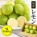 23位! 口コミ数「1件」評価「5」 国産レモン 約 2kg 国産 レモン 果物 レモン果汁 レモン汁 果汁 フルーツ 檸檬 高品質 人気 安心 安全 お取り寄せ 自宅用 家庭･･･ 