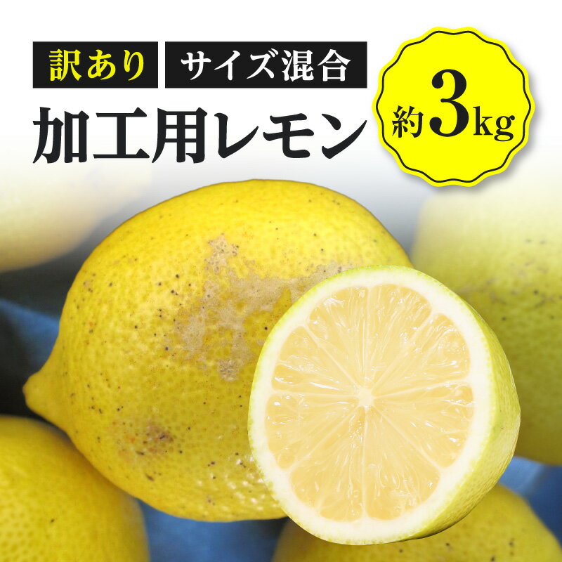 3位! 口コミ数「5件」評価「3.6」【訳あり】国産レモン 約 3kg 加工用 サイズ混合 国産 レモン 果物 フルーツ 檸檬 高品質 人気 安心 安全 お取り寄せ 自宅用 家庭･･･ 