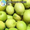 【ふるさと納税】【2021年11月～2022年4月配送】加工用レモン(サイズ混合) 3kg