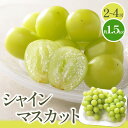 【ふるさと納税】シャインマスカット 約 1.5kg 【2024-8月下旬〜2024-9月下旬配送】 | マスカット 果物 フルーツ 甘い おいしい 新食感 高糖...