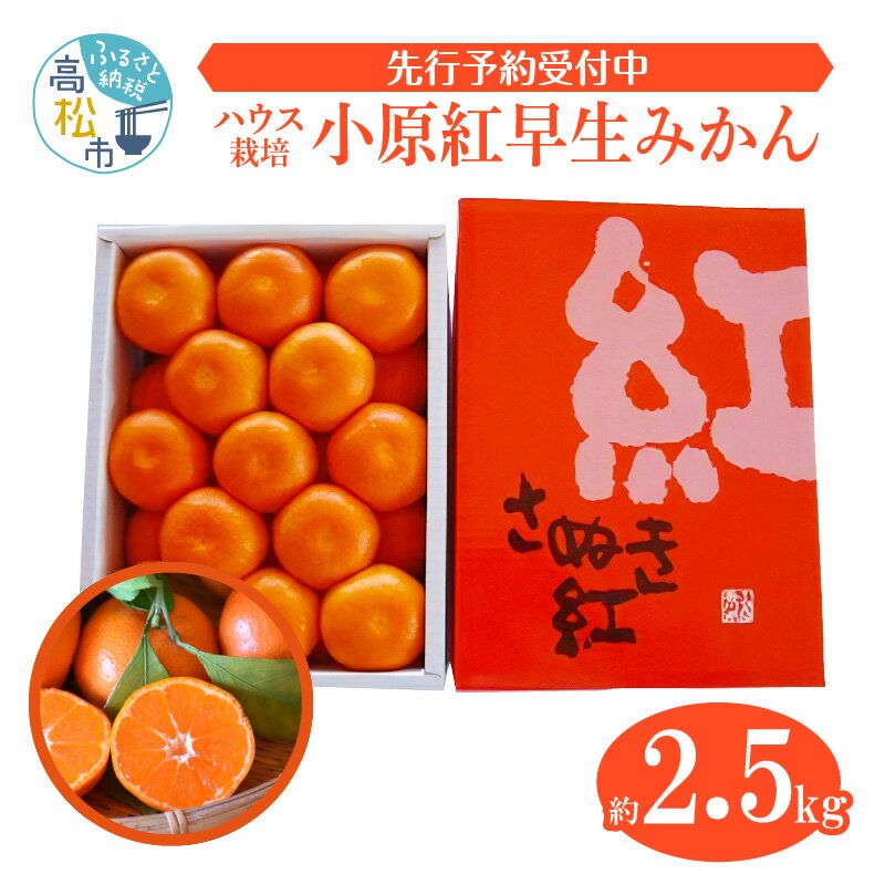 【ふるさと納税】貴重 ハウス 小原紅早生みかん 約2.5kg みかん 果物 フルーツ 送料無料 産地直送 食品 柑橘 お取り寄せ 蜜柑 ミカン 香川県 高松市 高品質 濃厚 オリジナル品種 果汁 たっぷり 1