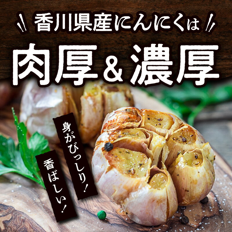 【ふるさと納税】乾燥にんにく 約2.5kg 国産 にんにく 乾燥済み 野菜 肉厚 濃厚 香川県産 食品 食材 お取り寄せ 自宅用 家庭用 ストック おすそ分け 長期保存 五色青果 香川県 高松市 送料無料 3