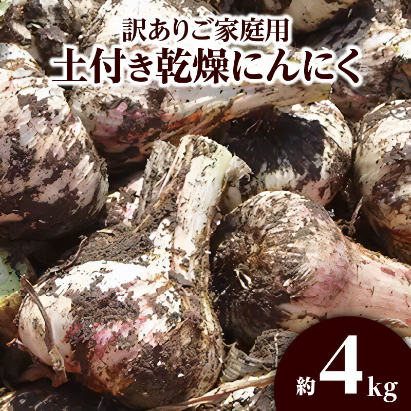 【ふるさと納税】訳あり 土付き 乾燥にんにく 約4kg 国産 にんにく 乾燥済み 野菜 肉厚 濃厚 香川県産...