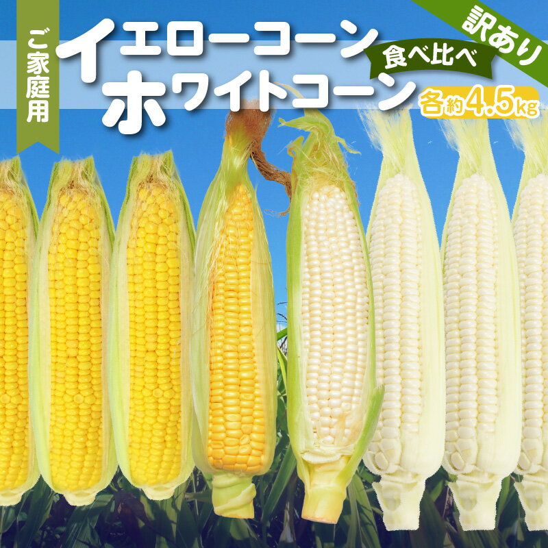 【ふるさと納税】 訳あり サイズ 粒 不揃い 小さめ 割れ 先行予約 2023年 家庭用 ホワイトコーン イエローコーン 食べ比べ コーン トウモロコシ とうもろこし 不揃い 野菜 瀬戸内 香川県 高松市 送料無料･･･