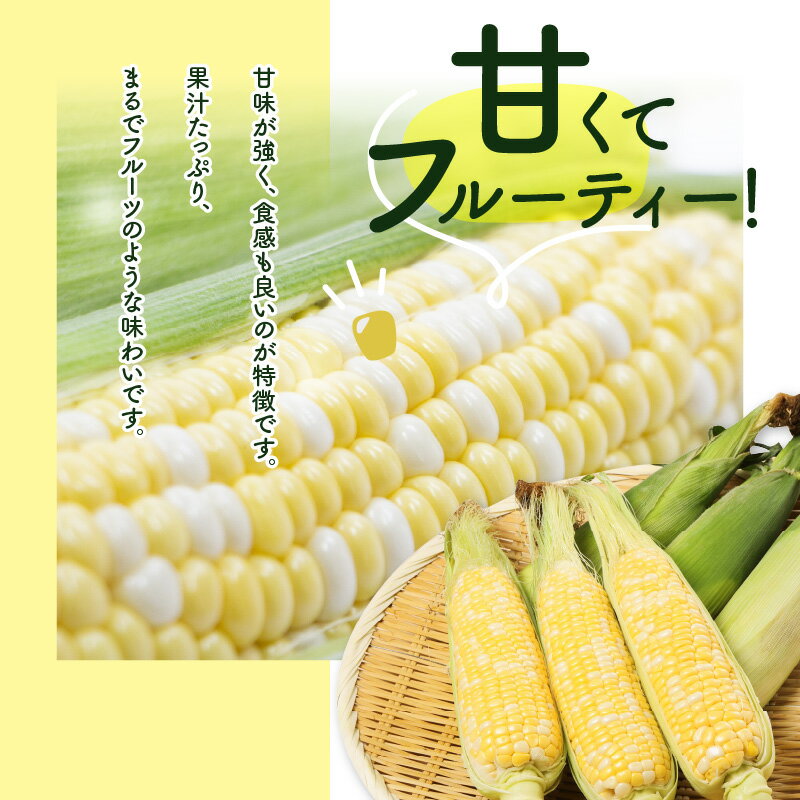 【ふるさと納税】ドルチェドリーム 約2kg とうもろこし コーン フルーツのような味わい 国産 香川県産 野菜 お取り寄せ 自宅用 家庭用 瀬戸内 香川県 高松市 食品 冷蔵 送料無料