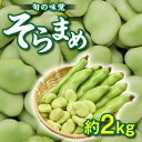 【ふるさと納税】期間限定 そら豆 約2kg 国産 高松市産 大粒 甘い 野菜 豆 旬 旬の味覚 食材 食品 おうち時間 家庭用 自宅用 贈り物 お取り寄せ 産地直送 瀬戸内 五色青果 香川県 高松市 送料無料