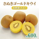  さぬき ゴールドキウイ 大玉 約 600g 香川県産 黄金色の果肉 化粧箱入り贈答 果物 フルーツ デザート スイーツ 産地直送 食品 人気 おすすめ お取り寄せ お取り寄せグルメ 送料無料