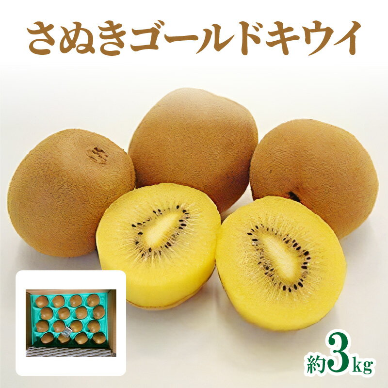 【ふるさと納税】さぬきゴールドキウイ 約3kg【2025-10月中旬〜2026-1月下旬配送】 | 化粧箱入り キウイ 甘い 大きい 果物 フルーツ デザート ...