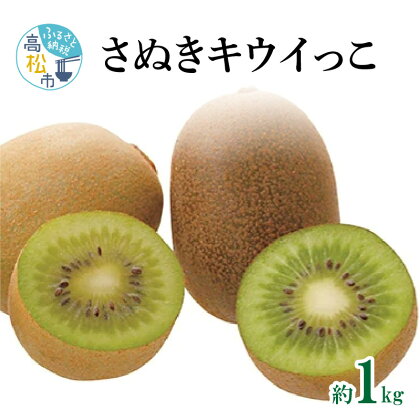 さぬき キウイっこ 約1kg 10月下旬 12月下旬 キウイ 甘い 果物 フルーツ デザート スイーツ 産地直送 食品 人気 おすすめ お取り寄せ お取り寄せグルメ 送料無料