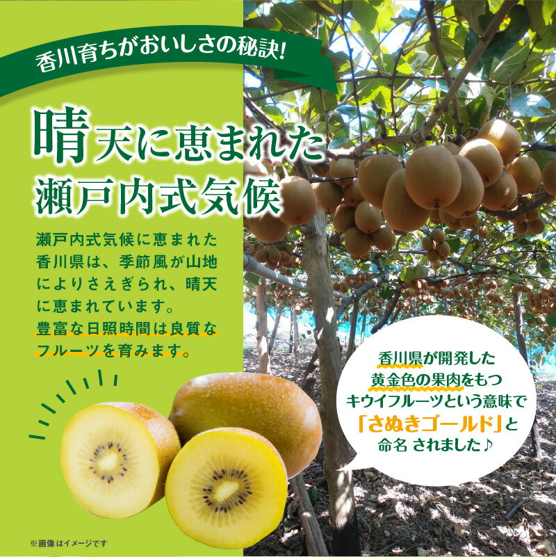 香川県高松市の画像2