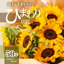 【ふるさと納税】ヒマワリ切花(長さ60〜80cm)【2025-6月上旬〜2025-9月下旬配送】 | 花 夏 観賞用 観賞 花束 ブーケ フラワー 季節の花 風...