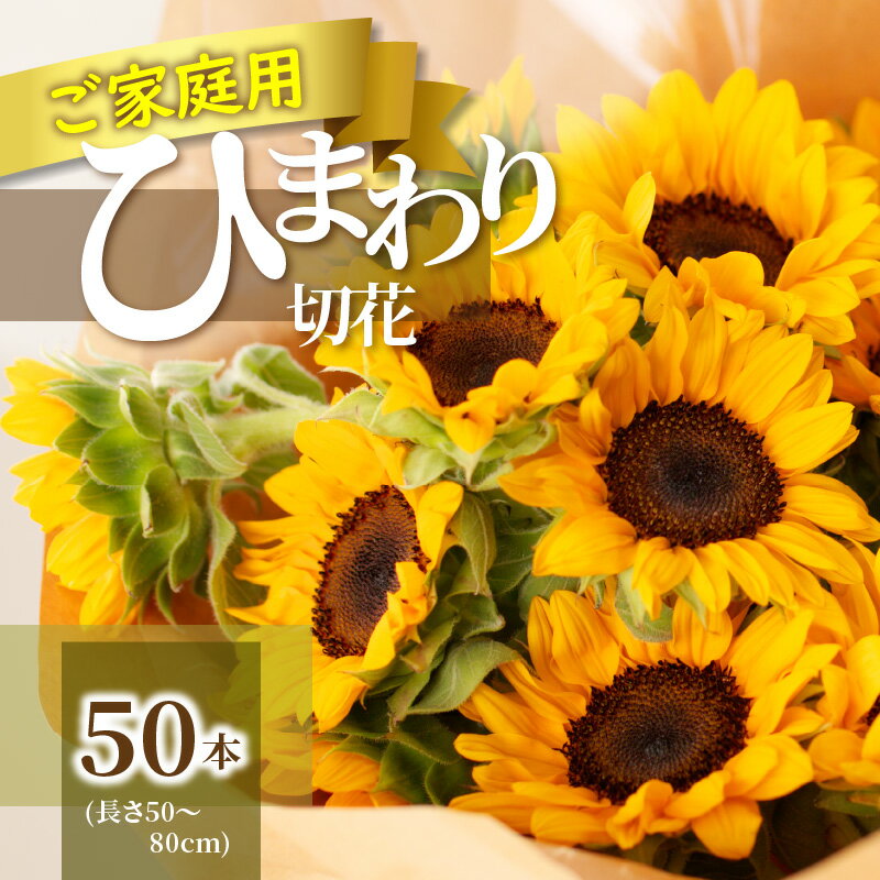 【ふるさと納税】 ひまわり 切り花 50本 ご家庭用 花 季節 夏 風物詩 観賞用 観賞 観葉植物 植物 切り花用 飾り付け 生け花 インテリア 雑貨 おしゃれ かわいい お裾分け 人気 フラワー アレンジ フラワーアレンジメント 花束 旬 送料無料