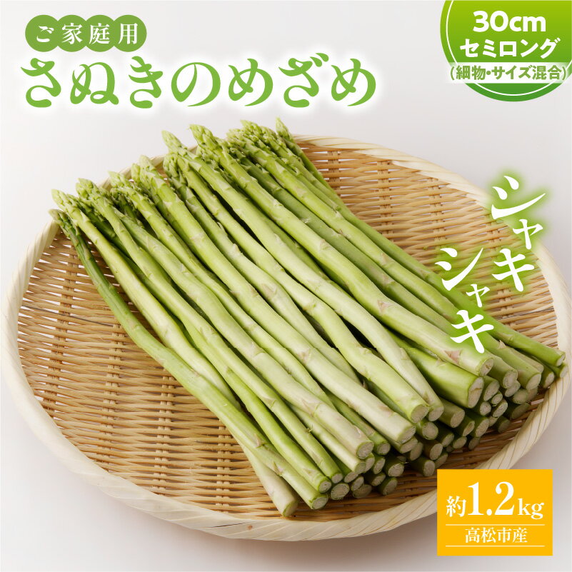 訳あり 家庭用 さぬきのめざめ 約1.2kg セミロング 30cm 細物 サイズ混合 アスパラガス アスパラ 野菜 オリジナル品種 シャキシャキ 食材 料理 サラダ 肉巻き 付け合わせ アスパラベーコン お取り寄せ 送料無料