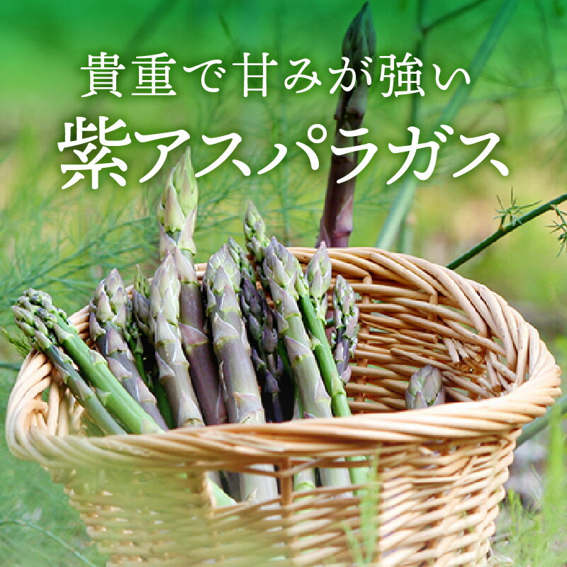 香川県高松市の画像2