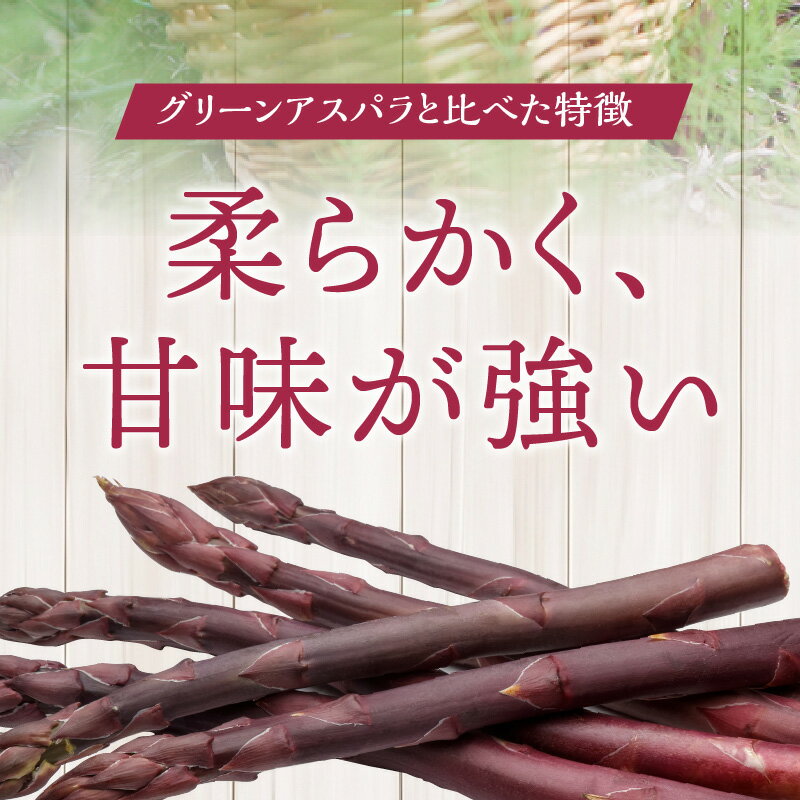 香川県高松市の画像3