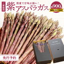 【ふるさと納税】貴重で甘みが強い ! ご家庭用 紫 アスパラガス (細物・サイズ混合) 約900g【2025-6月上旬〜2025-10月中旬配送】 | 柔らかい...