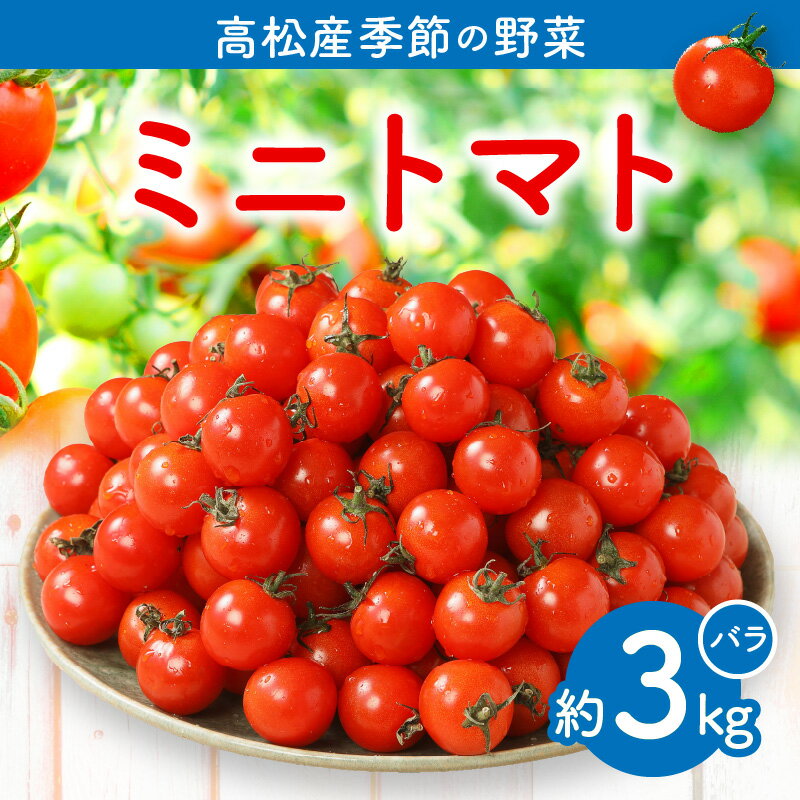 【ふるさと納税】ミニトマト バラ 約 3kg 箱 プチトマト トマト 国産 高松市産 産地直送 夏野菜 甘い 高品質 美味しい 酸味 野菜 自宅用 家庭用 おすそ分け お取り寄せ 瀬戸内 香川県 高松市 送料無料