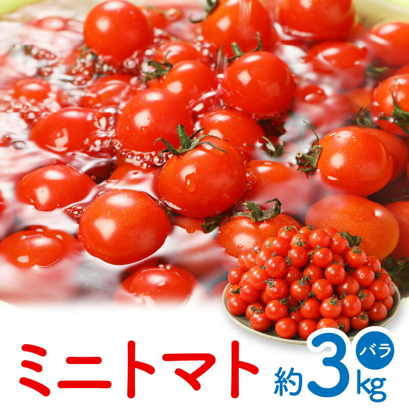 【ふるさと納税】ミニトマト バラ 約 3kg 箱 プチトマト トマト 国産 高松市産 産地直送 夏野菜 甘い ...