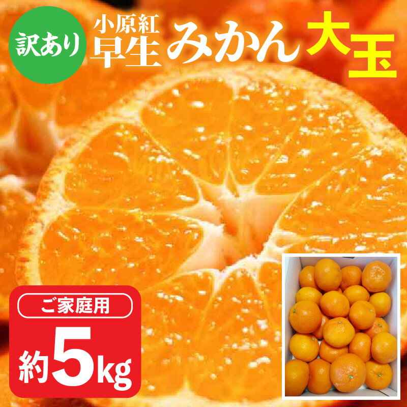 【ふるさと納税】 【訳あり】 ご家庭用 小原紅早生みかん 大玉 約 5kg 11月中旬 1月中旬 みかん 蜜柑 小原紅早生 早生 果物 フルーツ 青果 青果物 デザート スイーツ アレンジ オレンジジュース みかんゼリー オリジナル品種 小原紅早生 Lサイズ 柑橘 フルーツ 送料無料