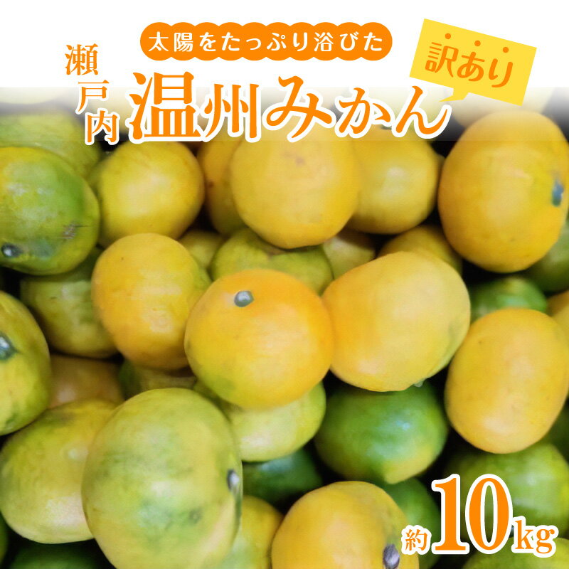 【訳あり】太陽たっぷり浴びた 瀬戸内温州みかん 約10kg【10月上旬～1月中旬】 サイズ混合 4L ～ 3S 国産 高松市産 食品 みかん 柑橘 お取り寄せ お取り寄せグルメ 自宅用 家庭用 おすそ分け おやつ デザート 高品質 果物 フルーツ 香川県 高松市 送料無料