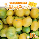 【ふるさと納税】【訳あり】太陽たっぷり浴びた 瀬戸内温州みか