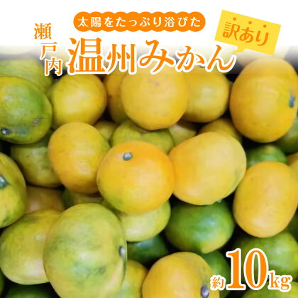 【訳あり】太陽たっぷり浴びた 瀬戸内温州みかん 約10kg【10月上旬～1月中旬】 サイズ混合 4L ～ 3S 国産 高松市産 食品 みかん 柑橘 お取り寄せ お取り寄せグルメ 自宅用 家庭用 おすそ分け おやつ デザート 高品質 果物 フルーツ 香川県 高松市 送料無料