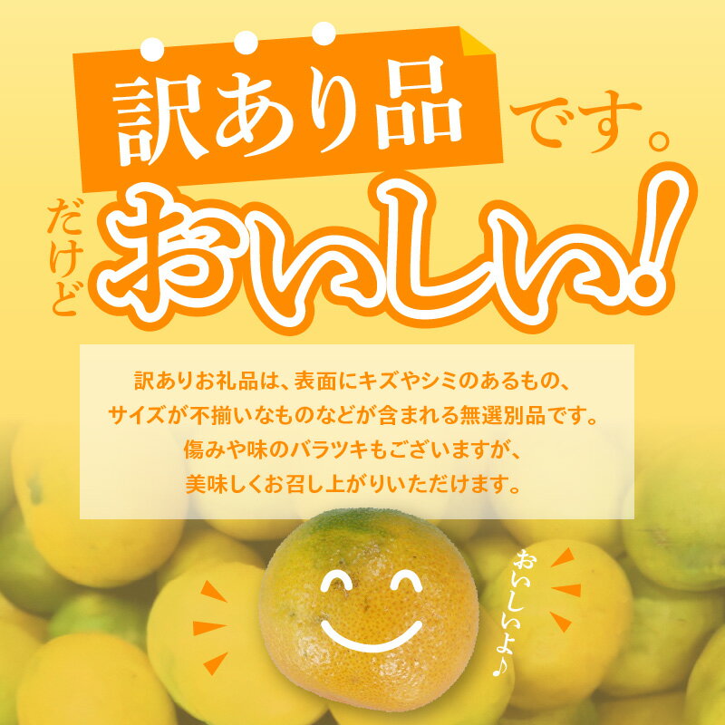 【ふるさと納税】【訳あり】太陽たっぷり浴びた 瀬戸内 温州みかん 約5kg【2024年10月上旬～2025年1月中旬配送】 果物 フルーツ みかん オレンジ 蜜柑 ミカン 果汁 果肉 サイズ混合 香川県 高松市 送料無料