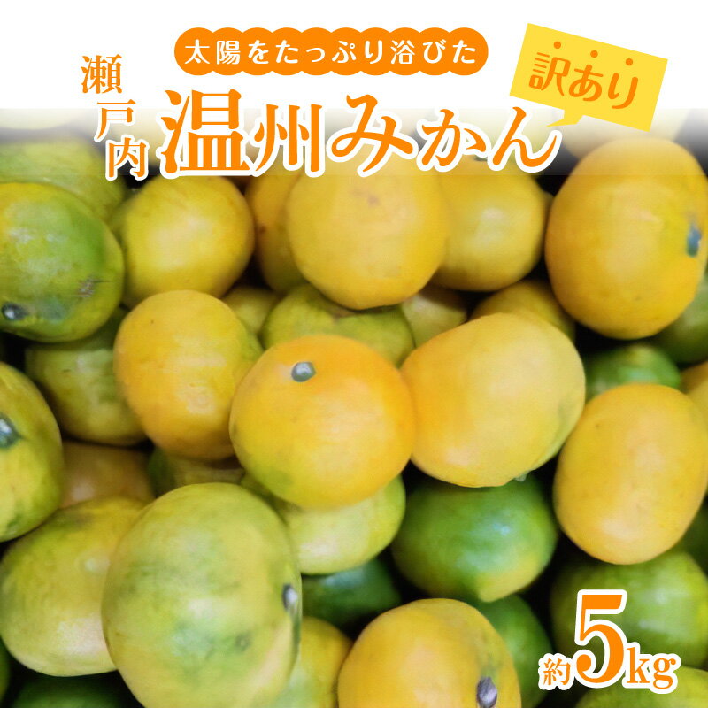 14位! 口コミ数「3件」評価「5」【訳あり】太陽たっぷり浴びた 瀬戸内 温州みかん 約5kg【2024年10月上旬～2025年1月中旬配送】 果物 フルーツ みかん オレンジ･･･ 